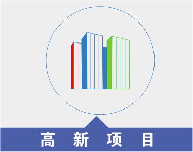 高新项目